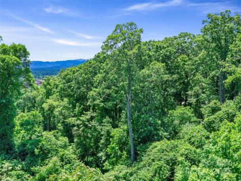 44 Samuel Ashe Drive Asheville NC 28805