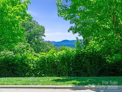 44 Samuel Ashe Drive Asheville NC 28805