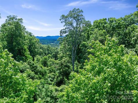 44 Samuel Ashe Drive Asheville NC 28805