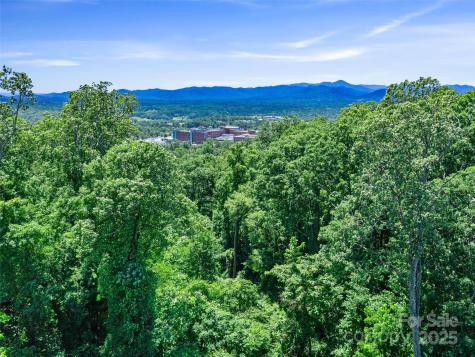 44 Samuel Ashe Drive Asheville NC 28805