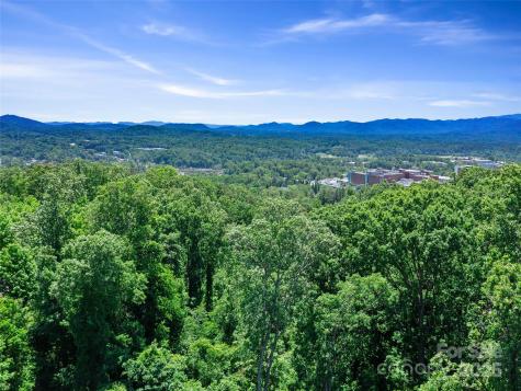 44 Samuel Ashe Drive Asheville NC 28805