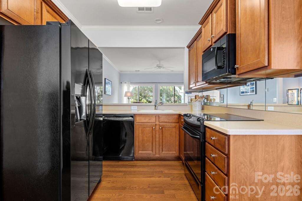 17412 Hawks View Drive Indian Land SC 29707