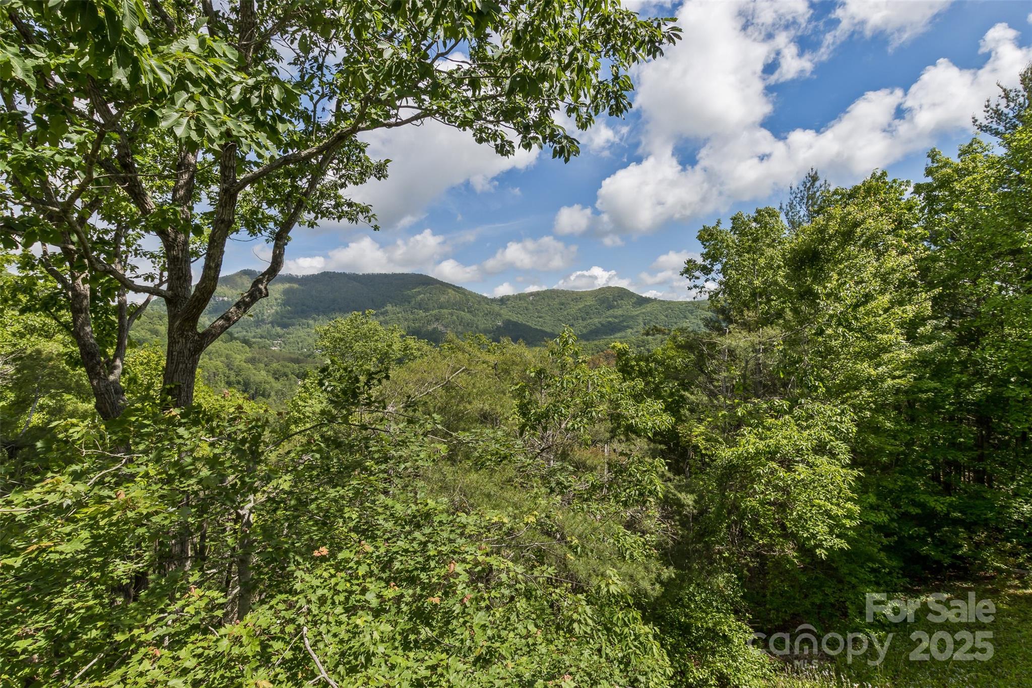 25 Windsong Drive Fairview NC 28730