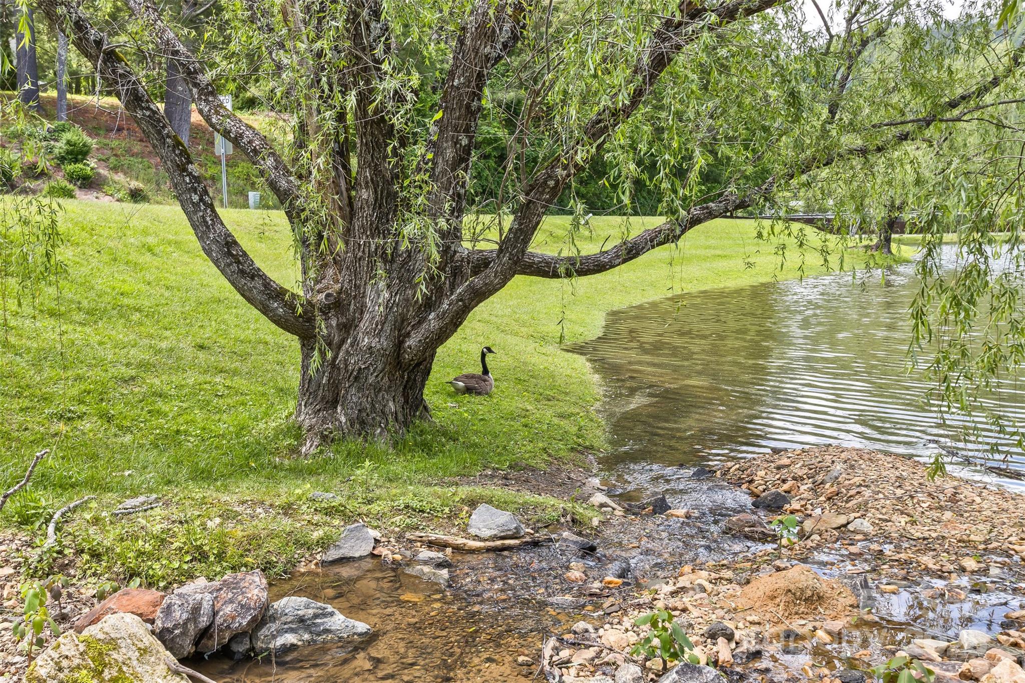 25 Windsong Drive Fairview NC 28730