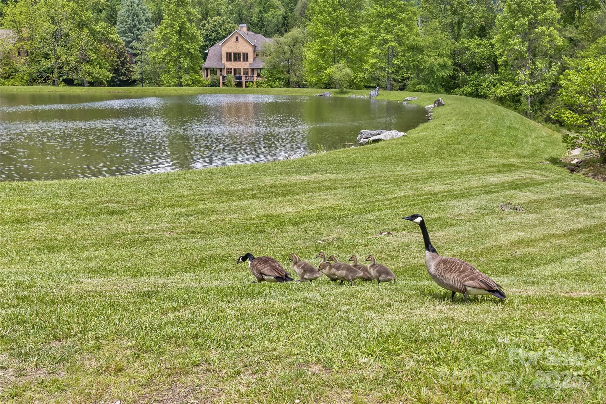 25 Windsong Drive Fairview NC 28730