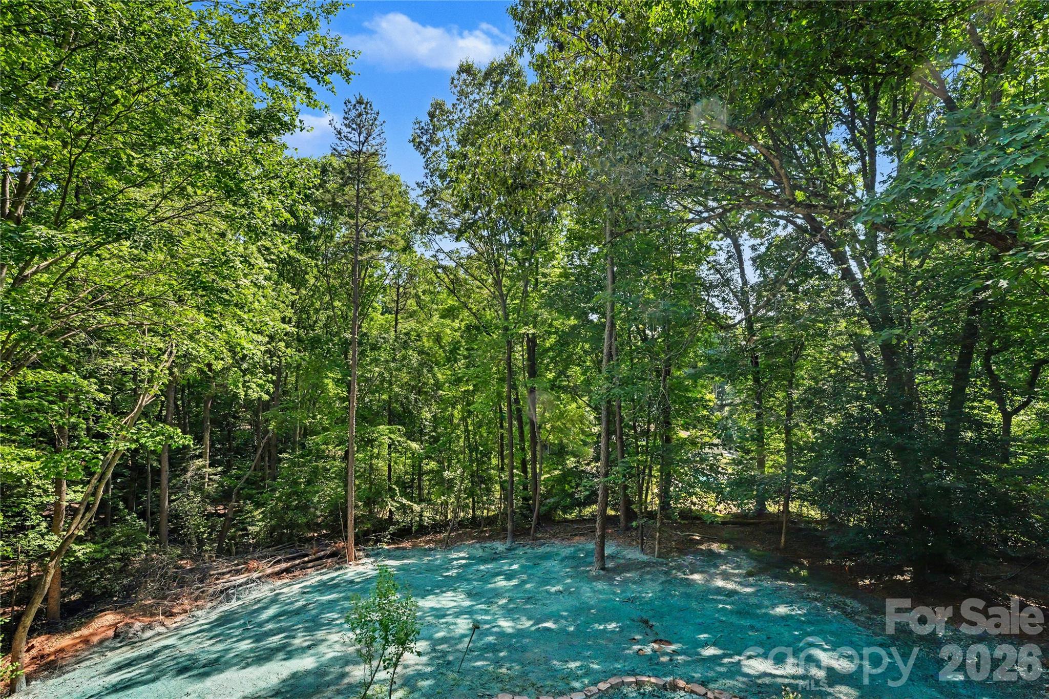 241 Spring Shore Road Statesville NC 28677