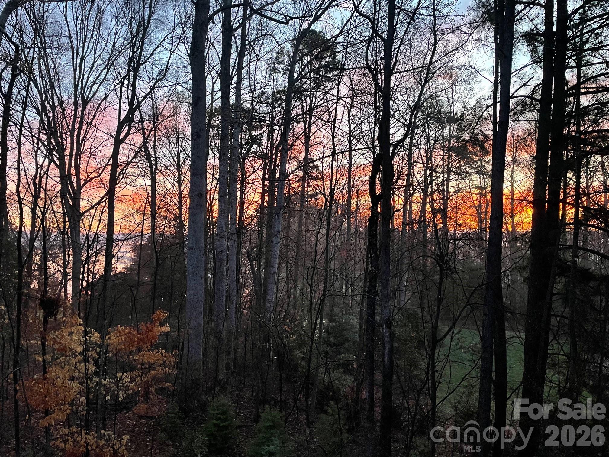 2866 Backwoods Trail Denver NC 28037