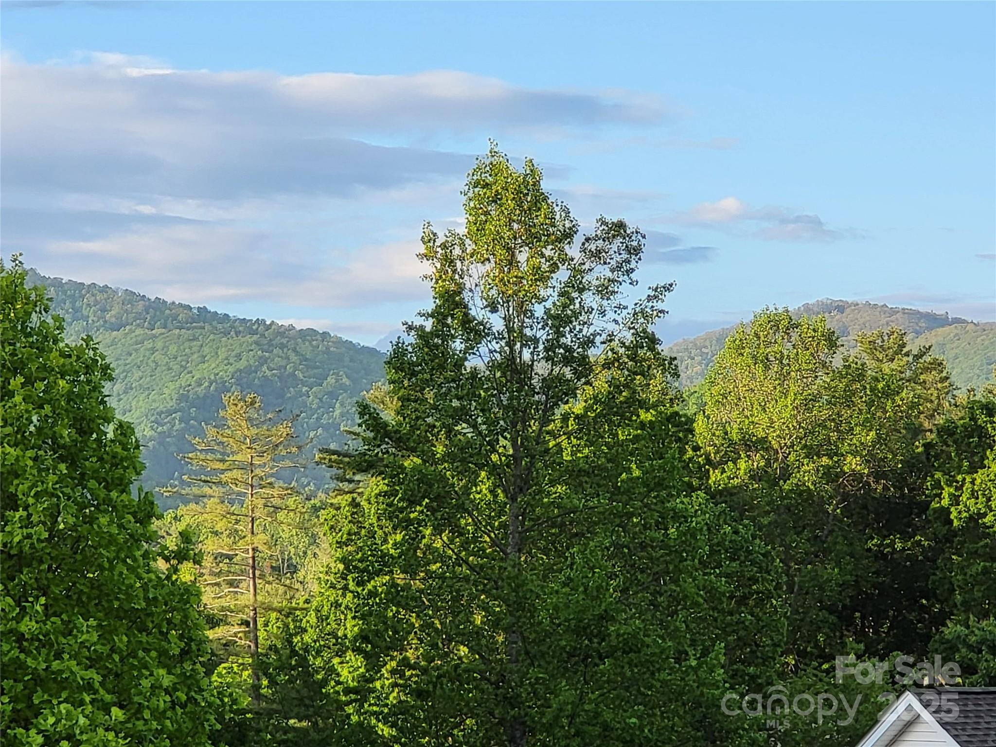 15 Madelyn Lane Fairview NC 28730