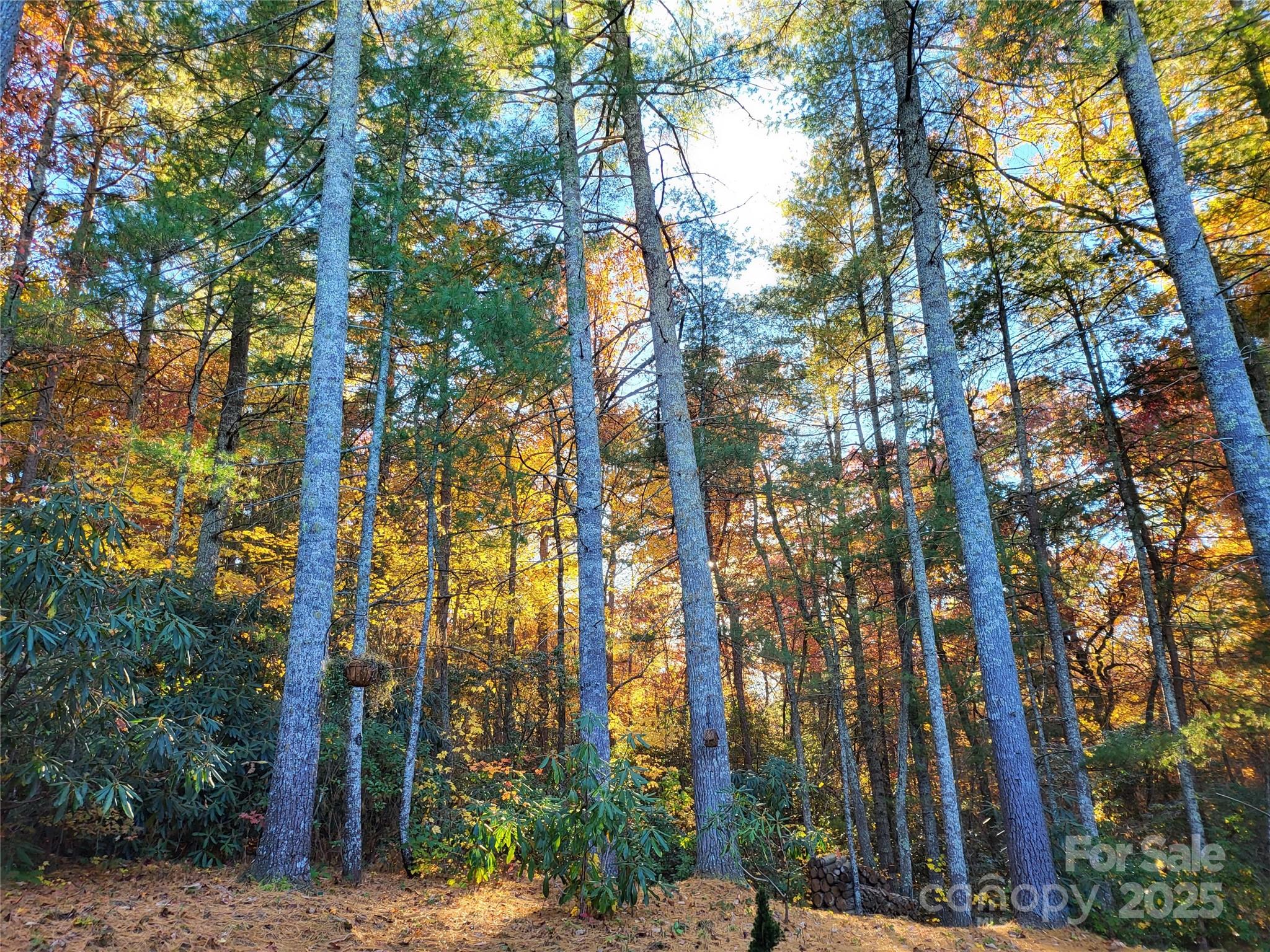 15 Madelyn Lane Fairview NC 28730