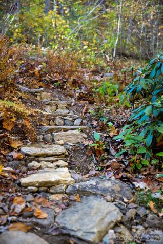 808 Mountain Cove Road Hendersonville NC 28792
