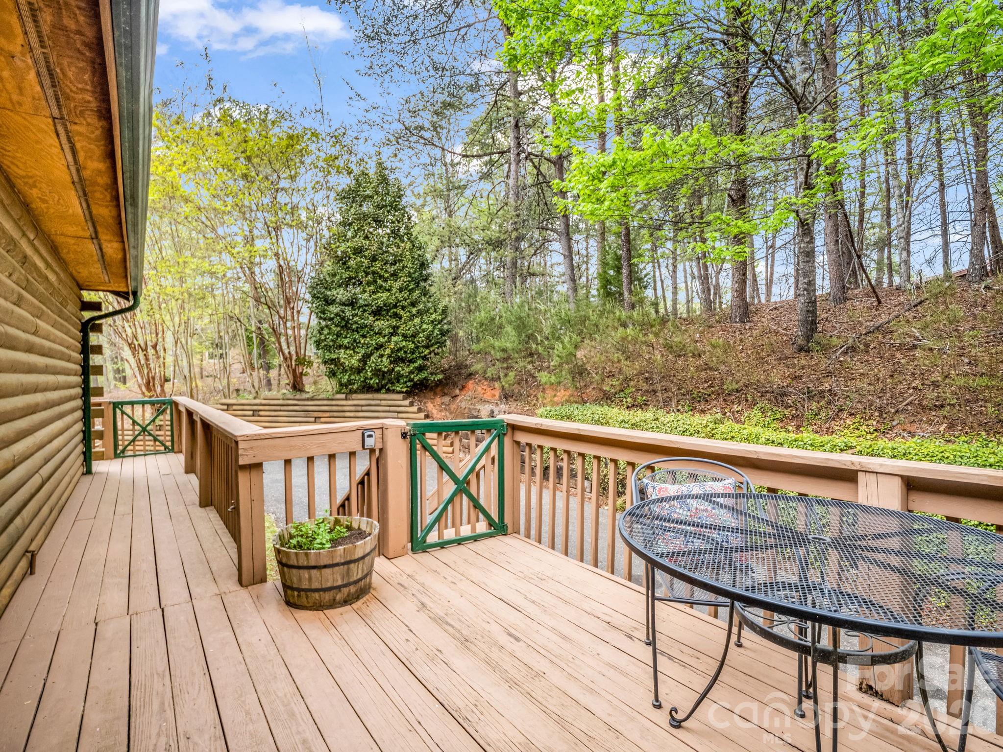 233 Shumont Estates Road Lake Lure NC 28746