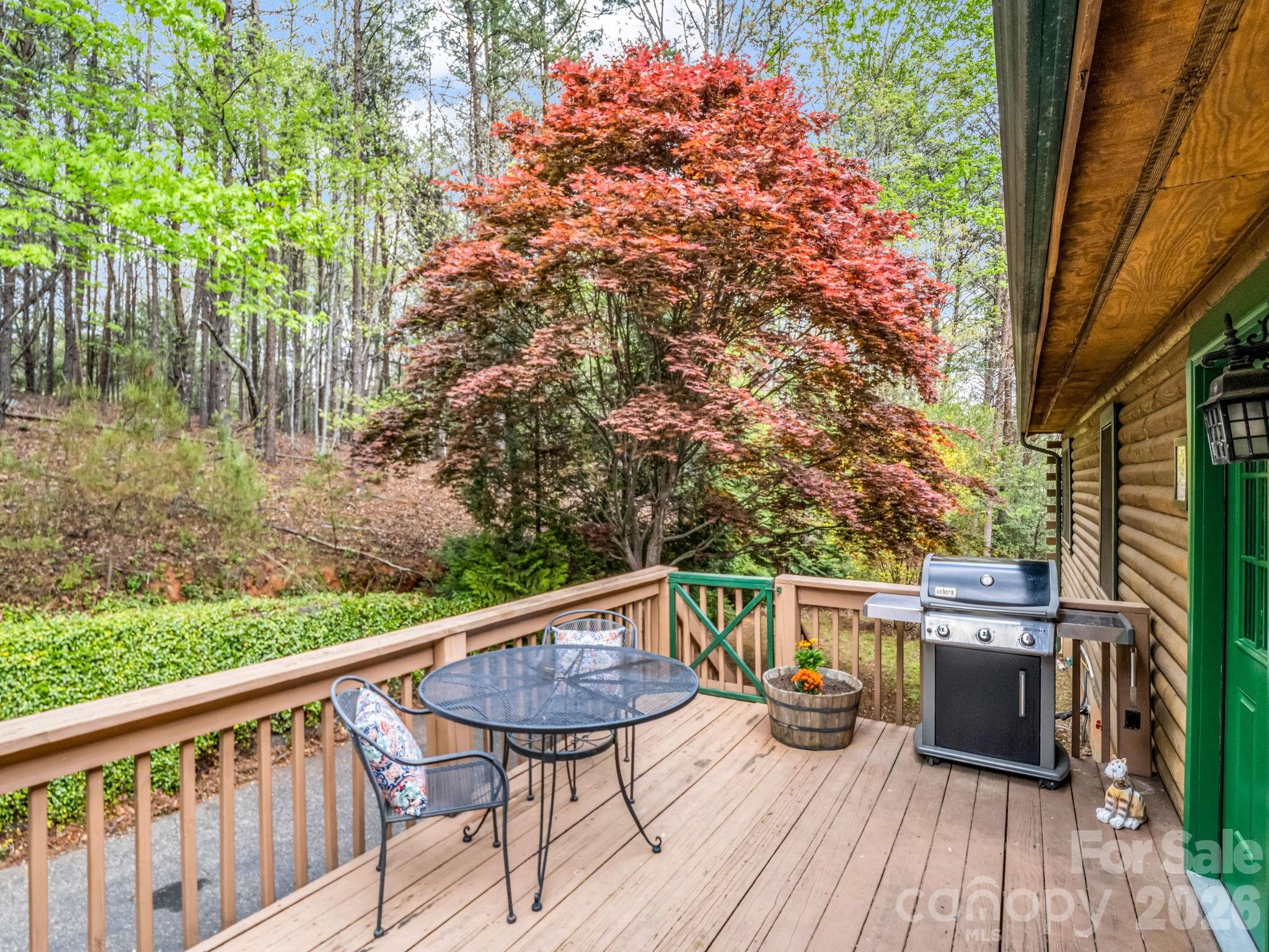 233 Shumont Estates Road Lake Lure NC 28746