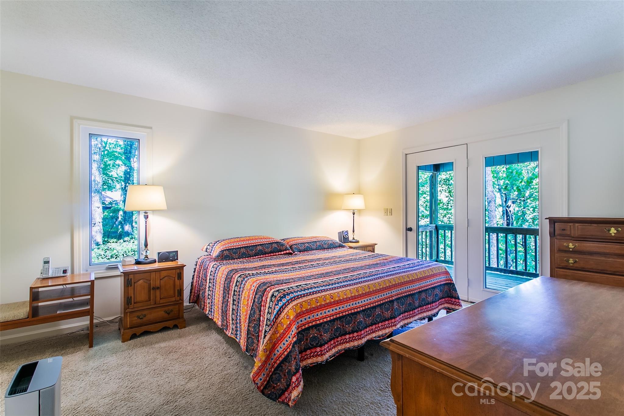 263 Ugedaliyvi Court Brevard NC 28712