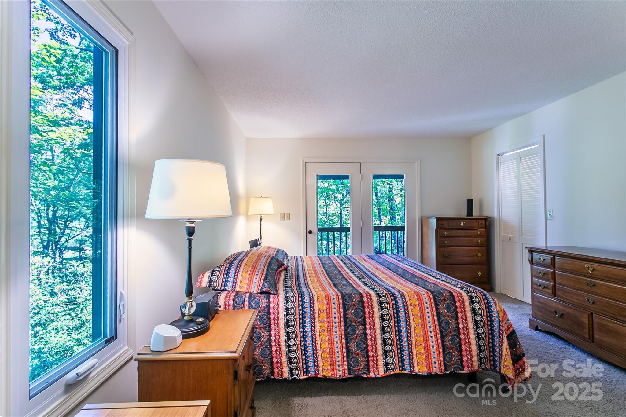 263 Ugedaliyvi Court Brevard NC 28712