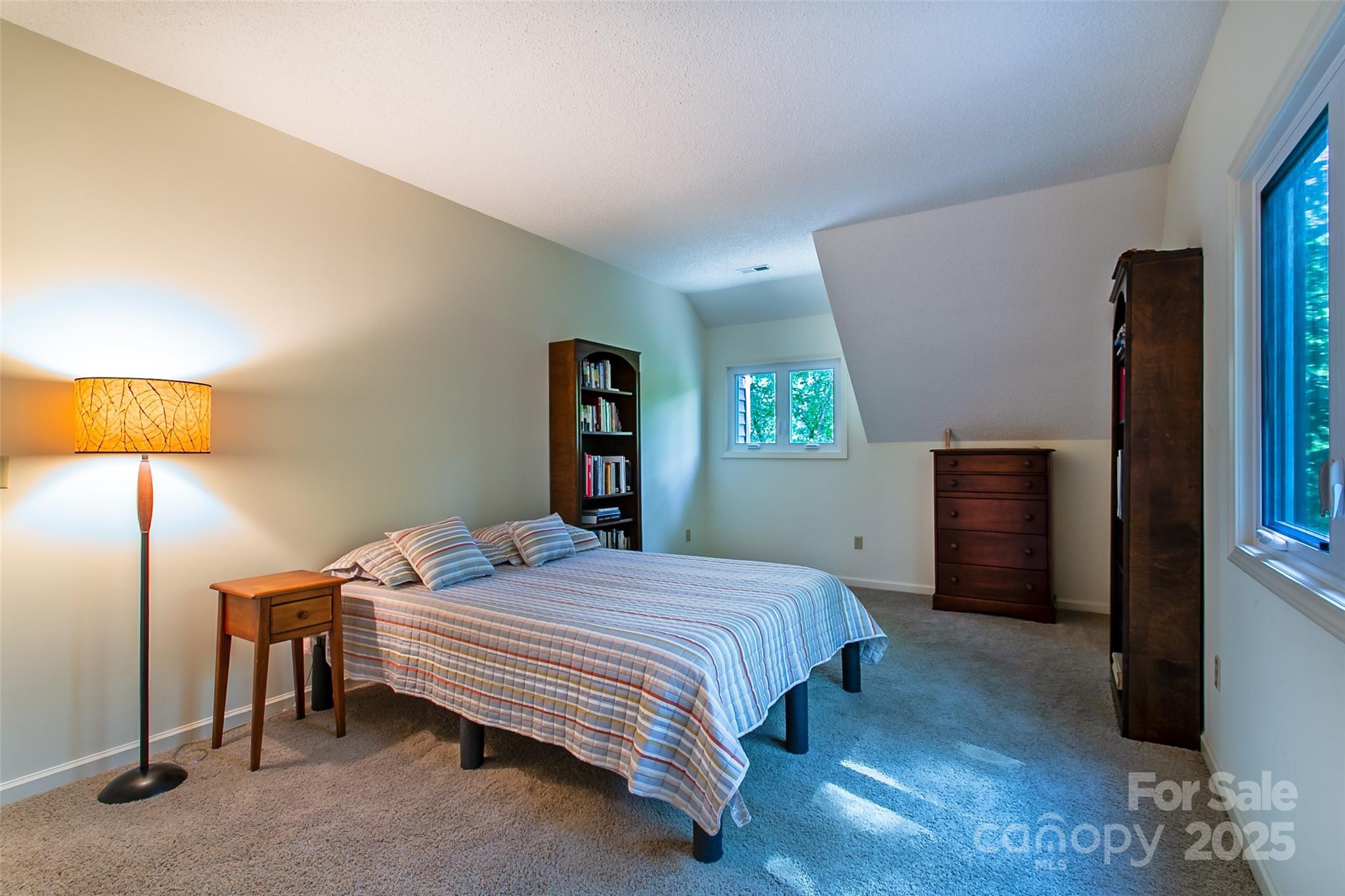 263 Ugedaliyvi Court Brevard NC 28712