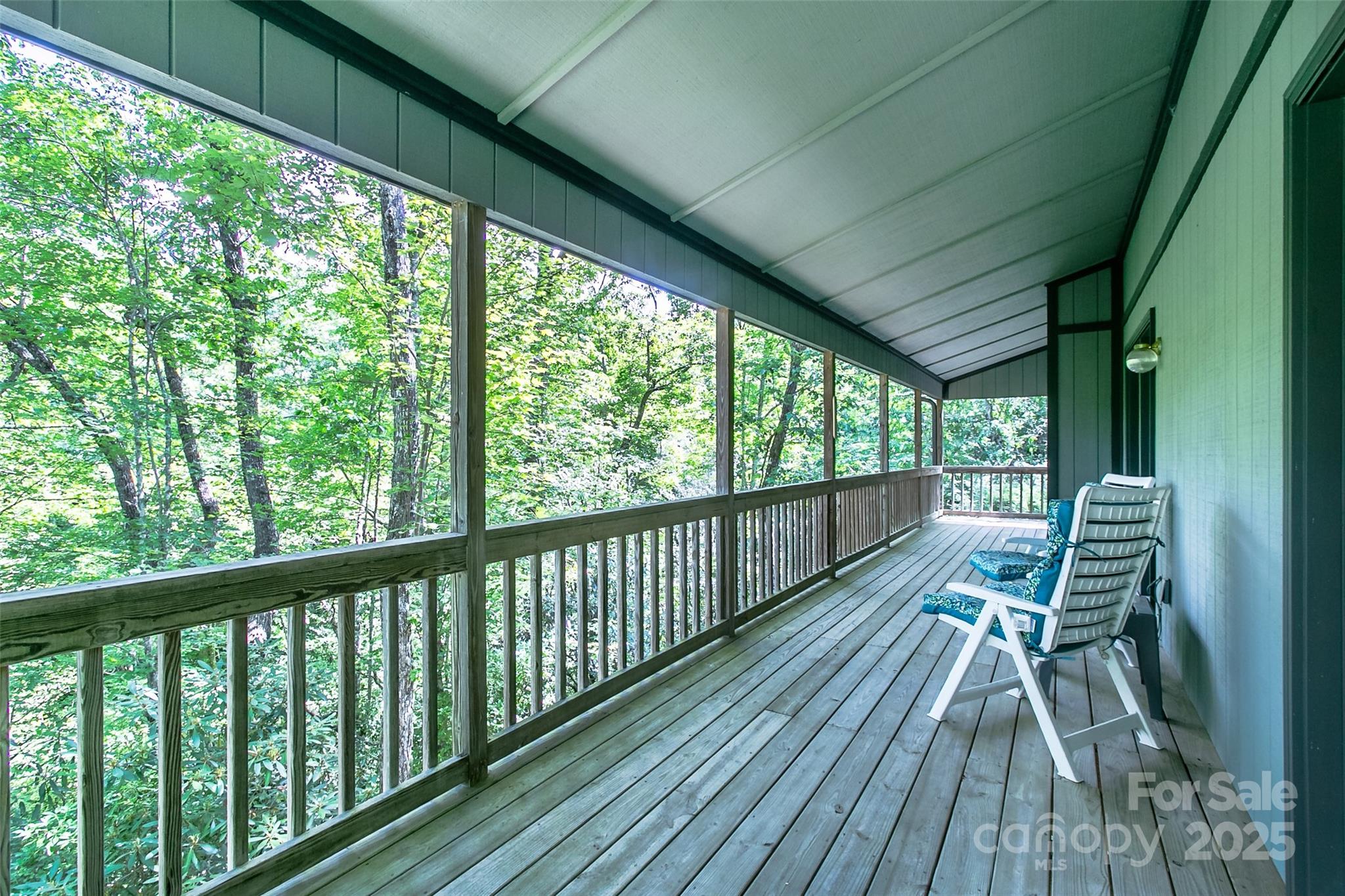 263 Ugedaliyvi Court Brevard NC 28712