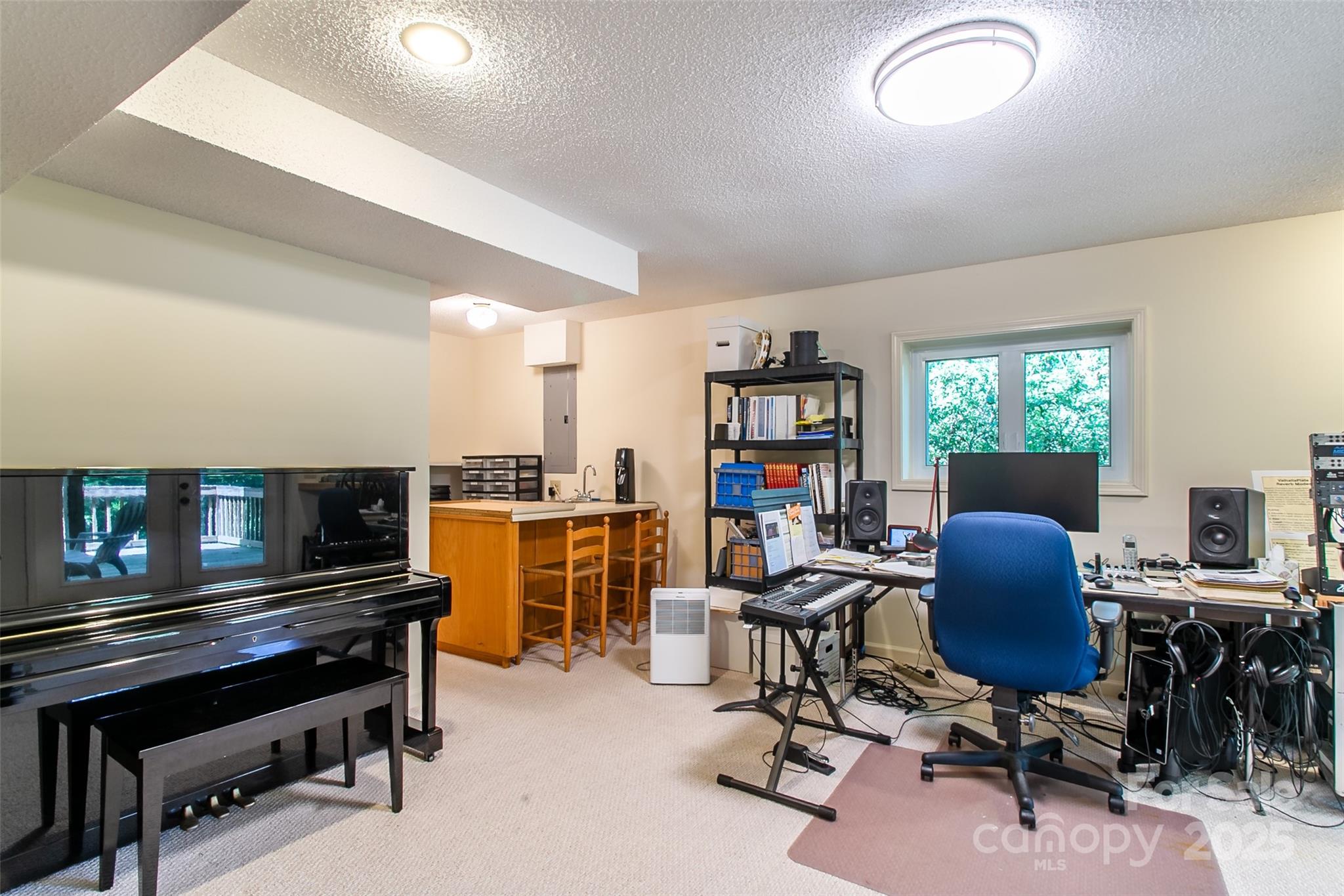 263 Ugedaliyvi Court Brevard NC 28712