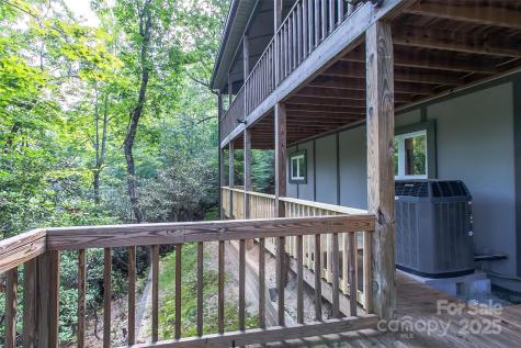 263 Ugedaliyvi Court Brevard NC 28712