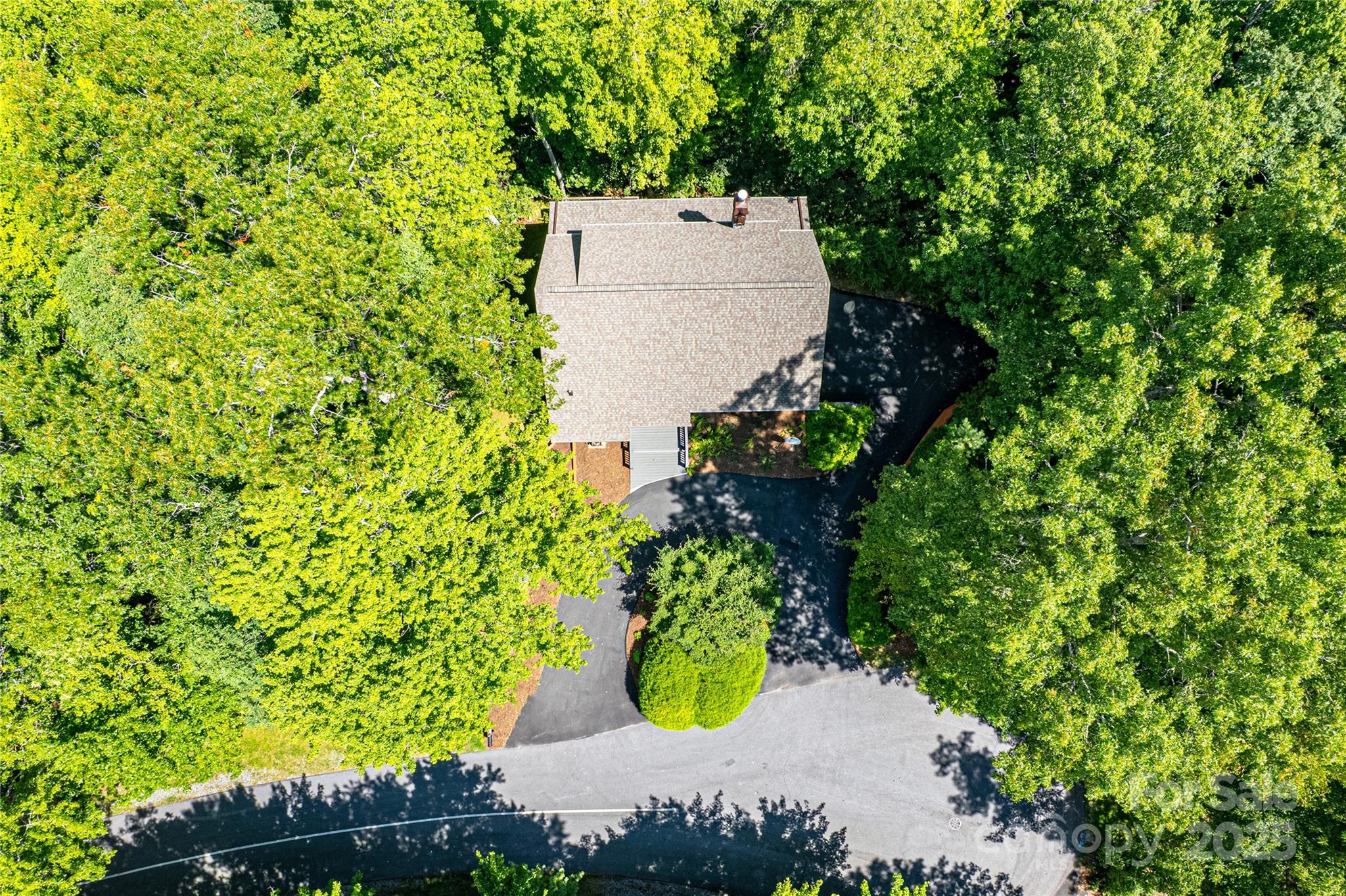 263 Ugedaliyvi Court Brevard NC 28712