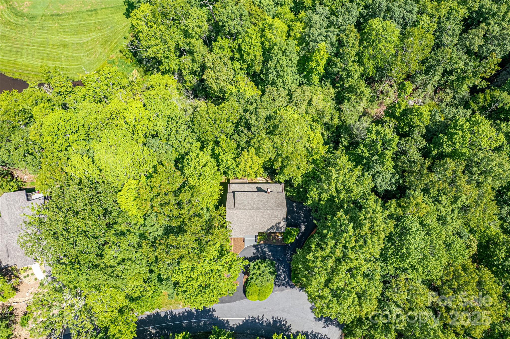 263 Ugedaliyvi Court Brevard NC 28712