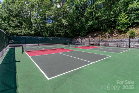 263 Ugedaliyvi Court Brevard NC 28712