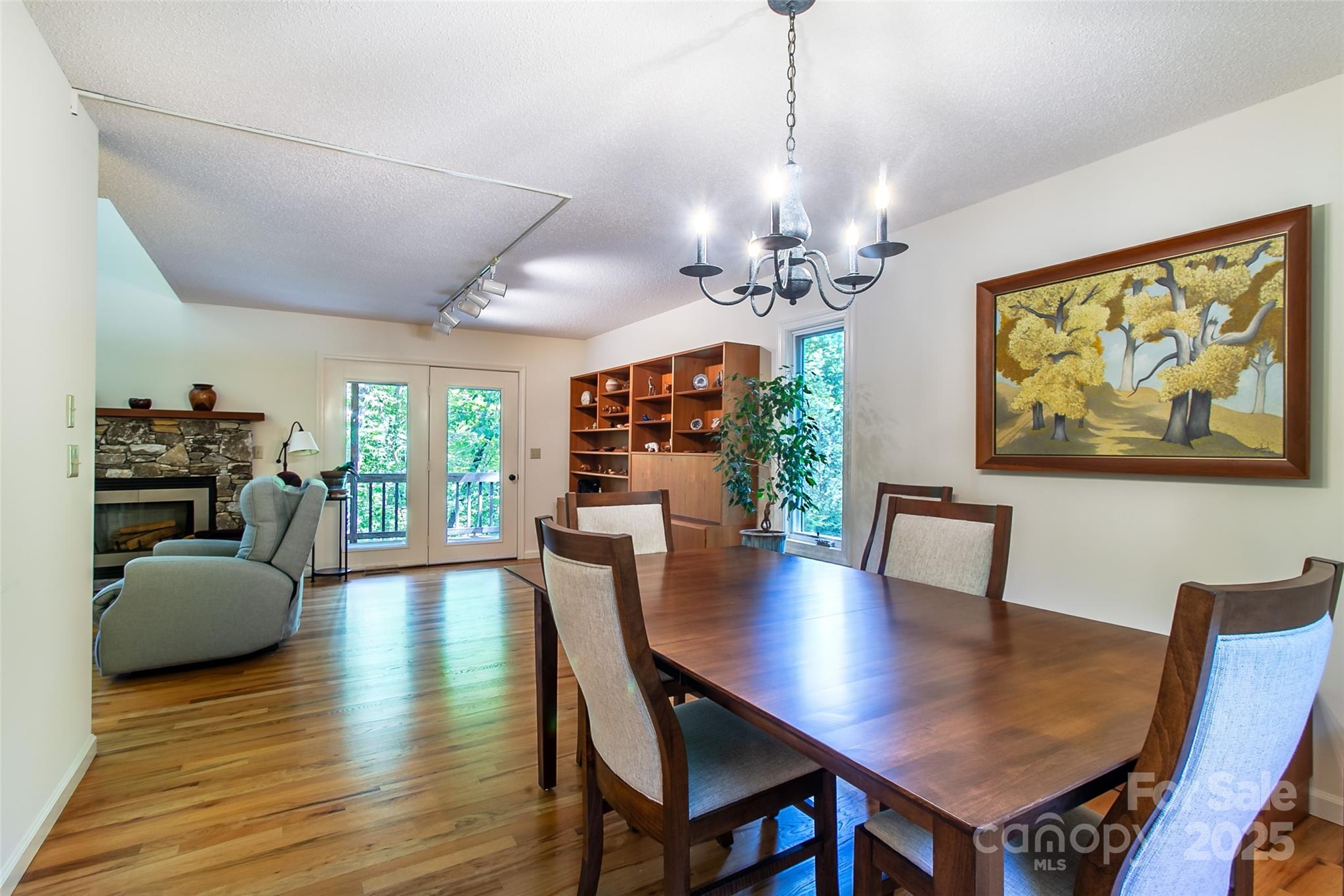 263 Ugedaliyvi Court Brevard NC 28712