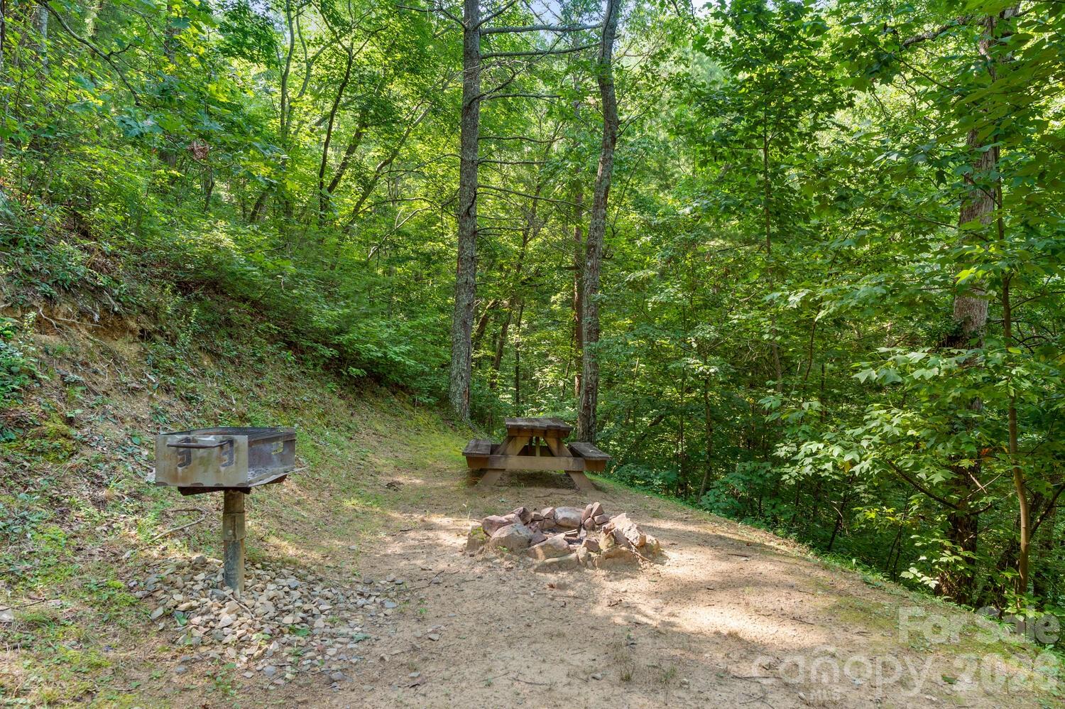 286 Rebel Drive Hot Springs NC 28743