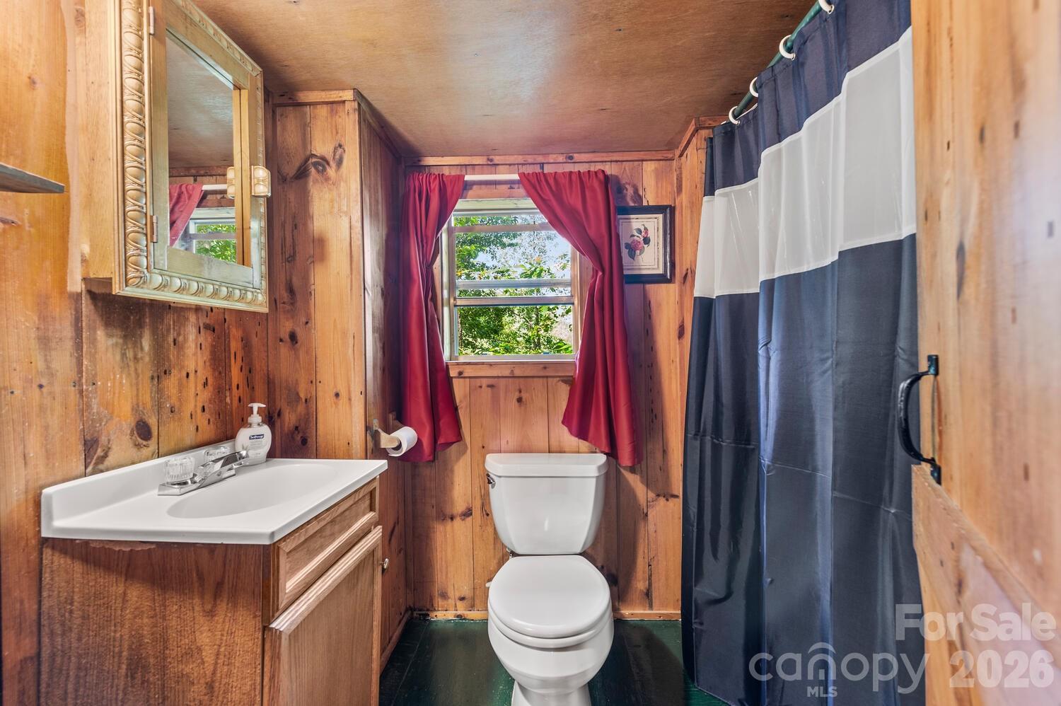 286 Rebel Drive Hot Springs NC 28743