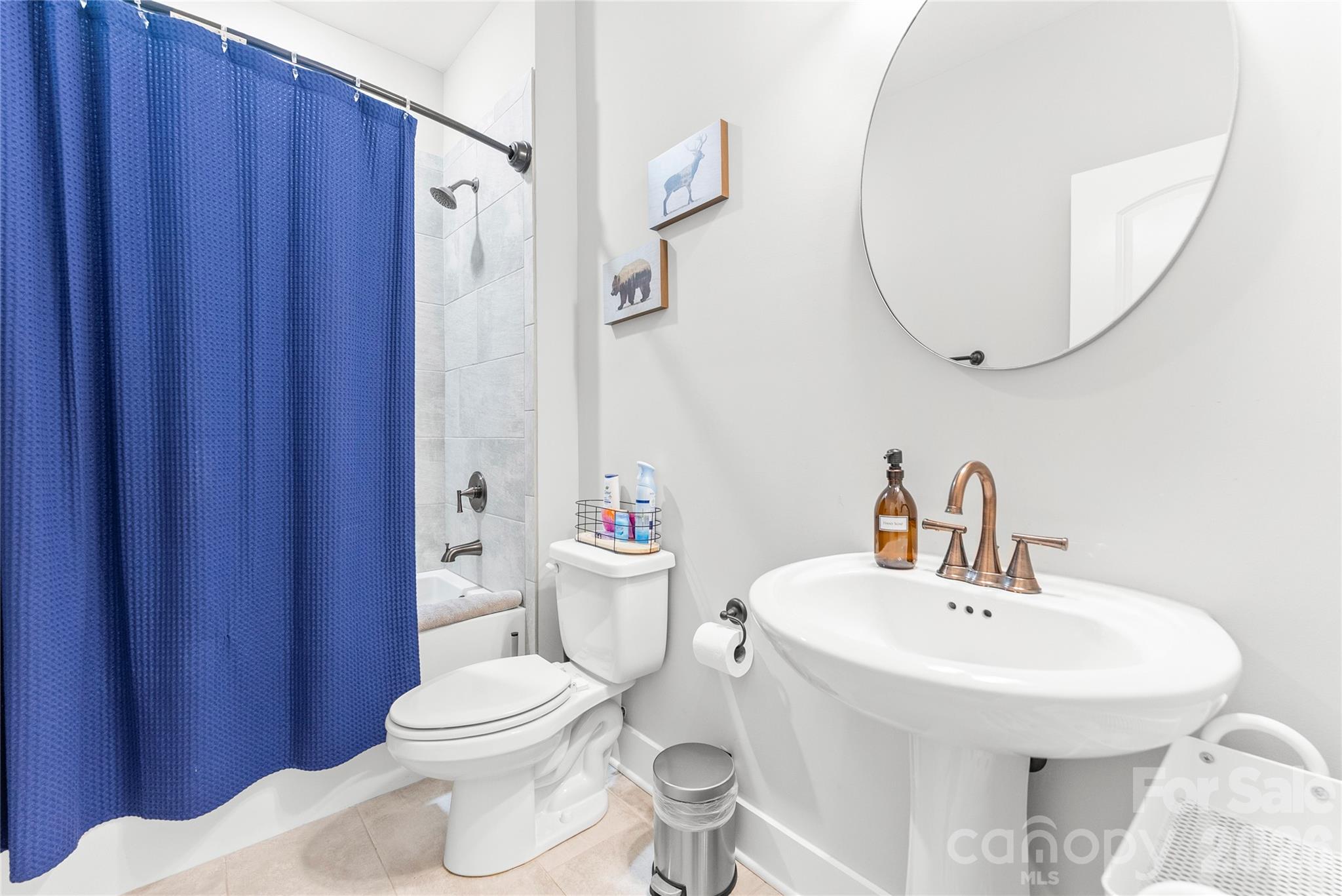 509 Sweet Birch Park Lane Black Mountain NC 28711