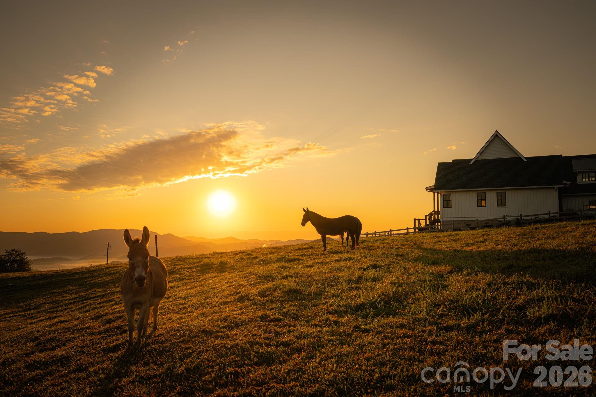 217 Sunrise Vista Lane Banner Elk NC 28604