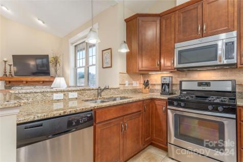 17 Craftsman View Drive Asheville NC 28804