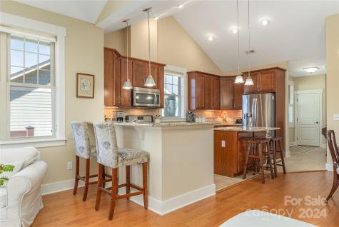 17 Craftsman View Drive Asheville NC 28804