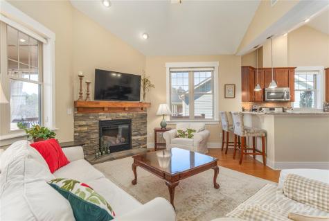 17 Craftsman View Drive Asheville NC 28804
