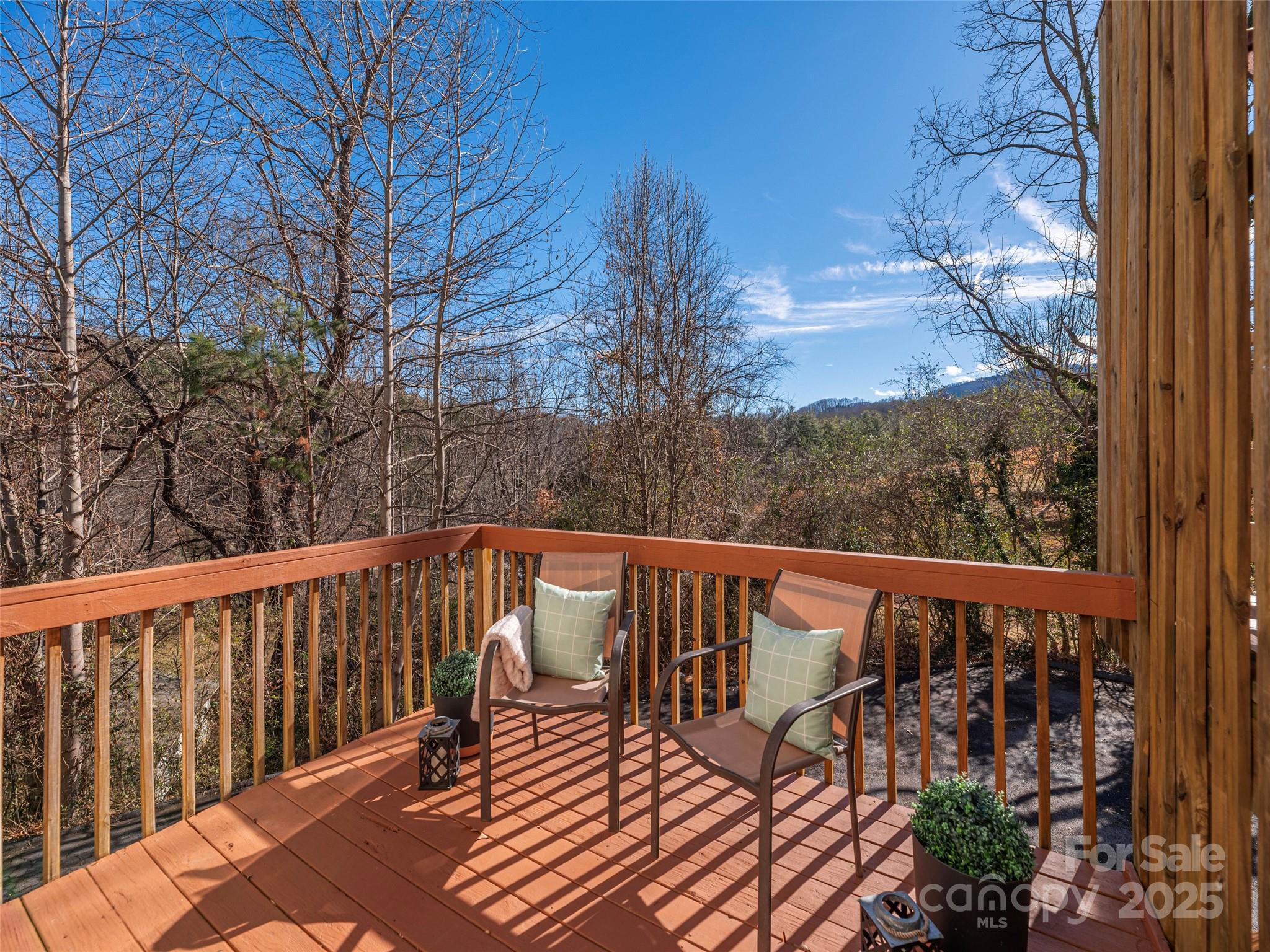 53 Vancott Court Clyde NC 28721