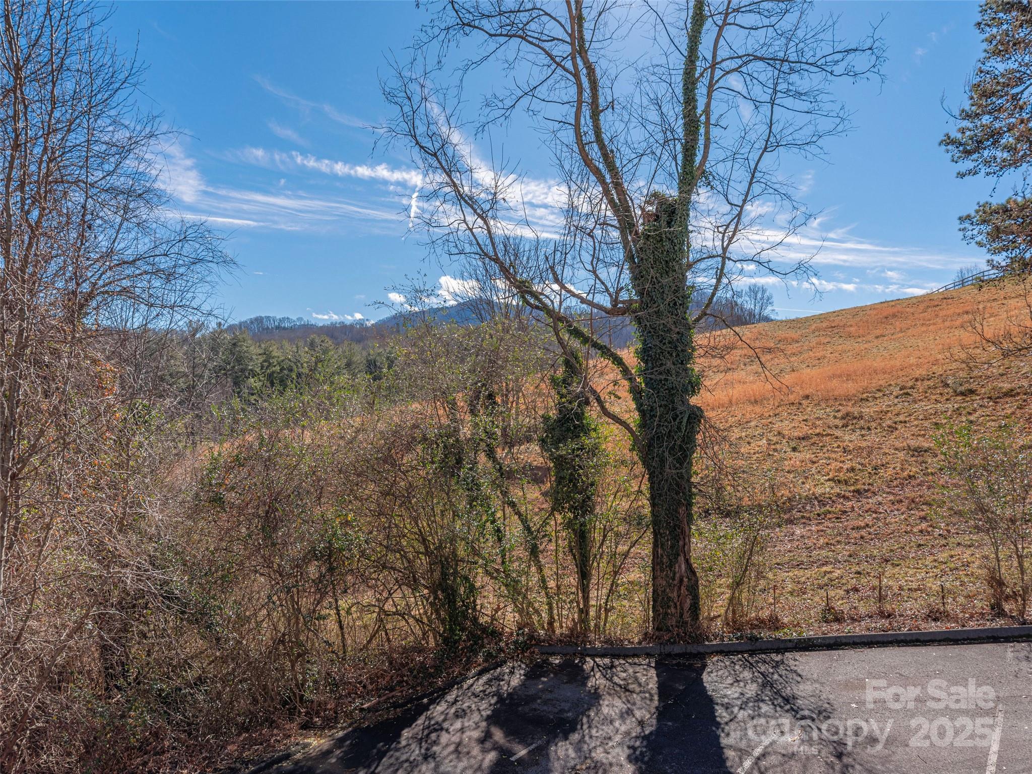 53 Vancott Court Clyde NC 28721