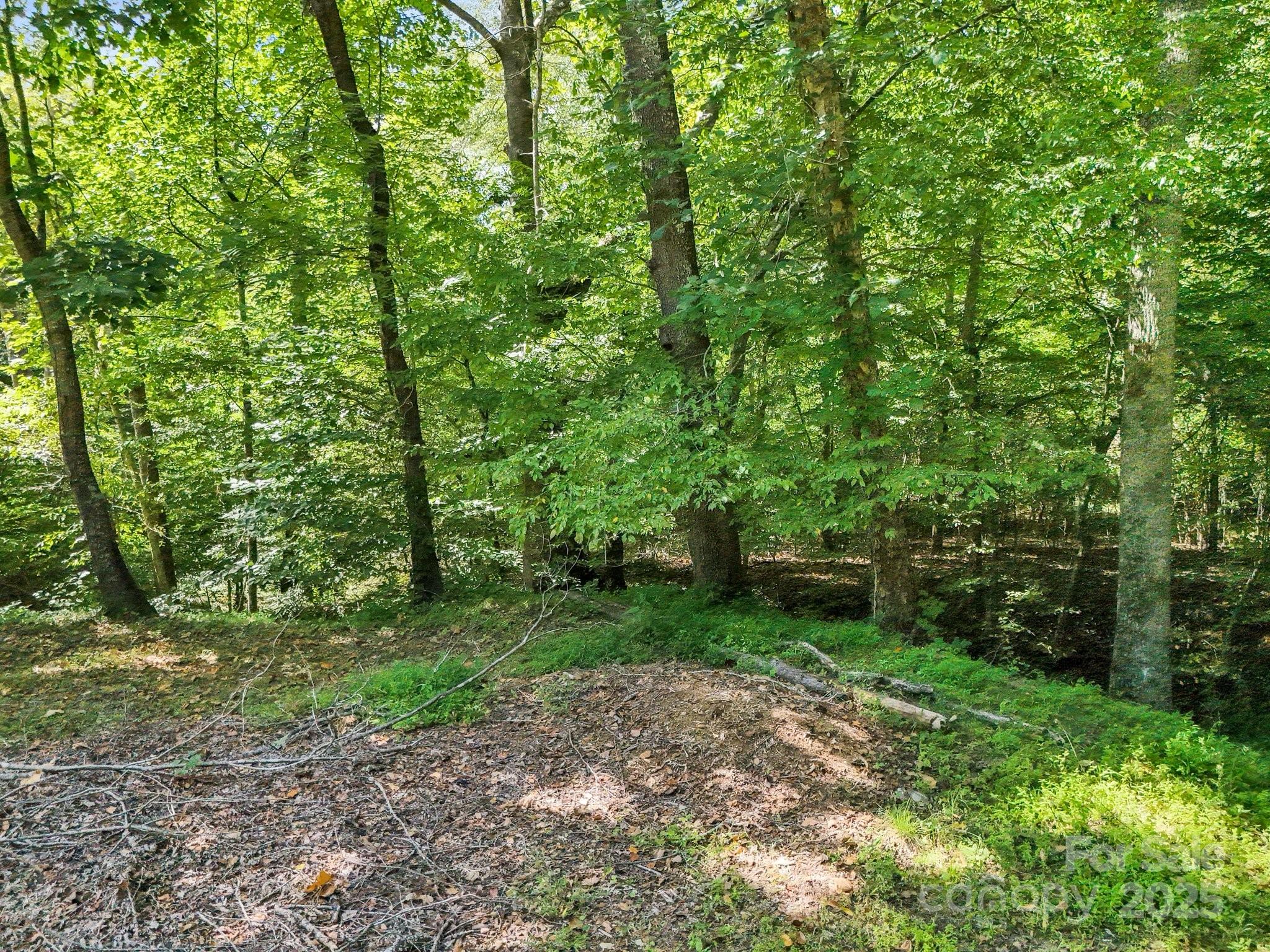 282 Reagan Lane Bostic NC 28018
