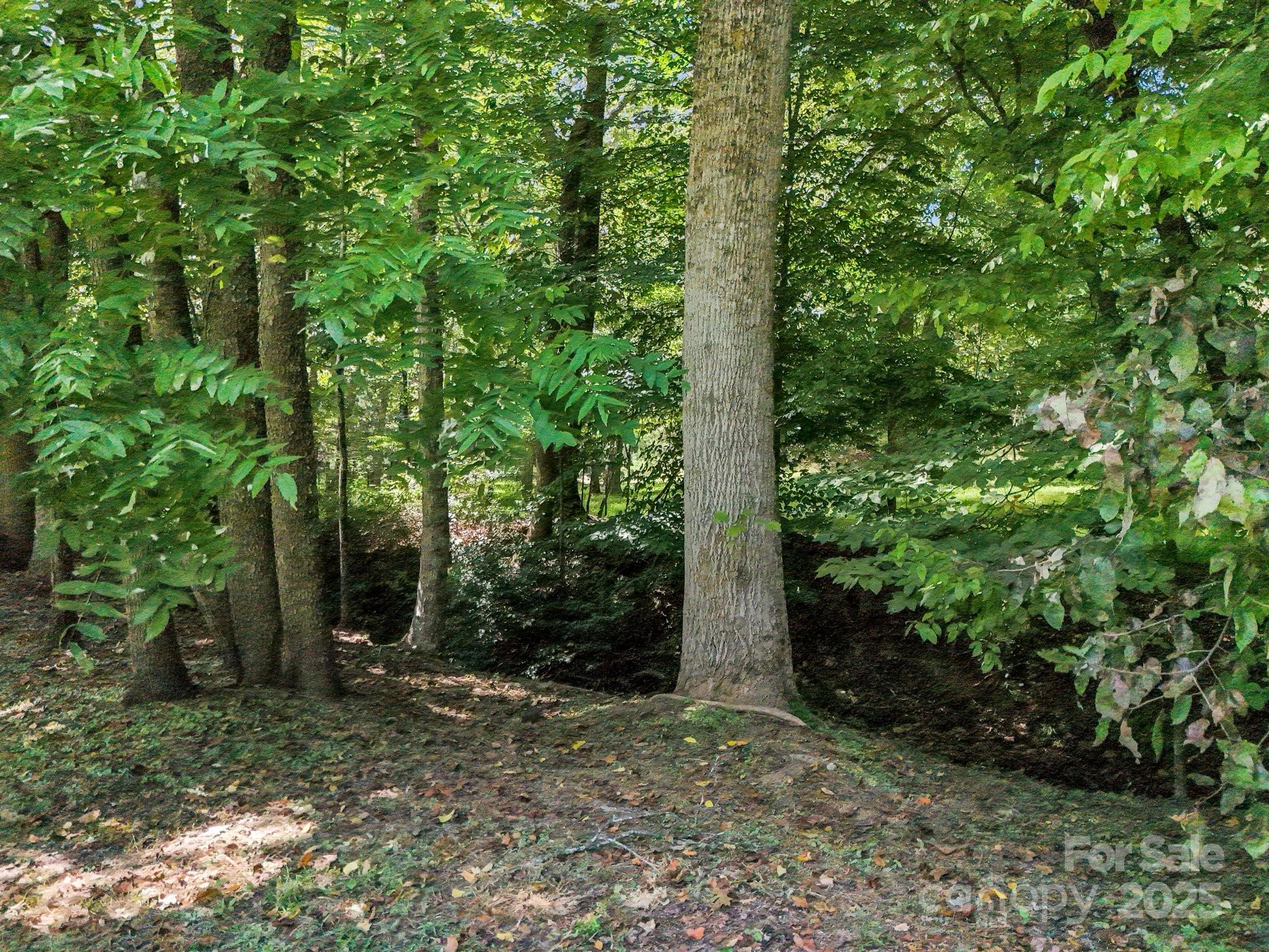 282 Reagan Lane Bostic NC 28018