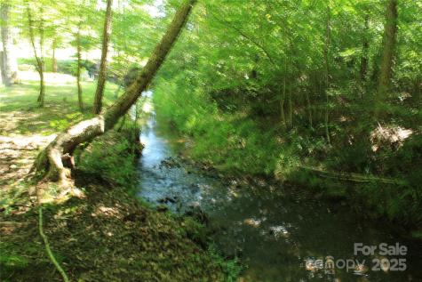 282 Reagan Lane Bostic NC 28018