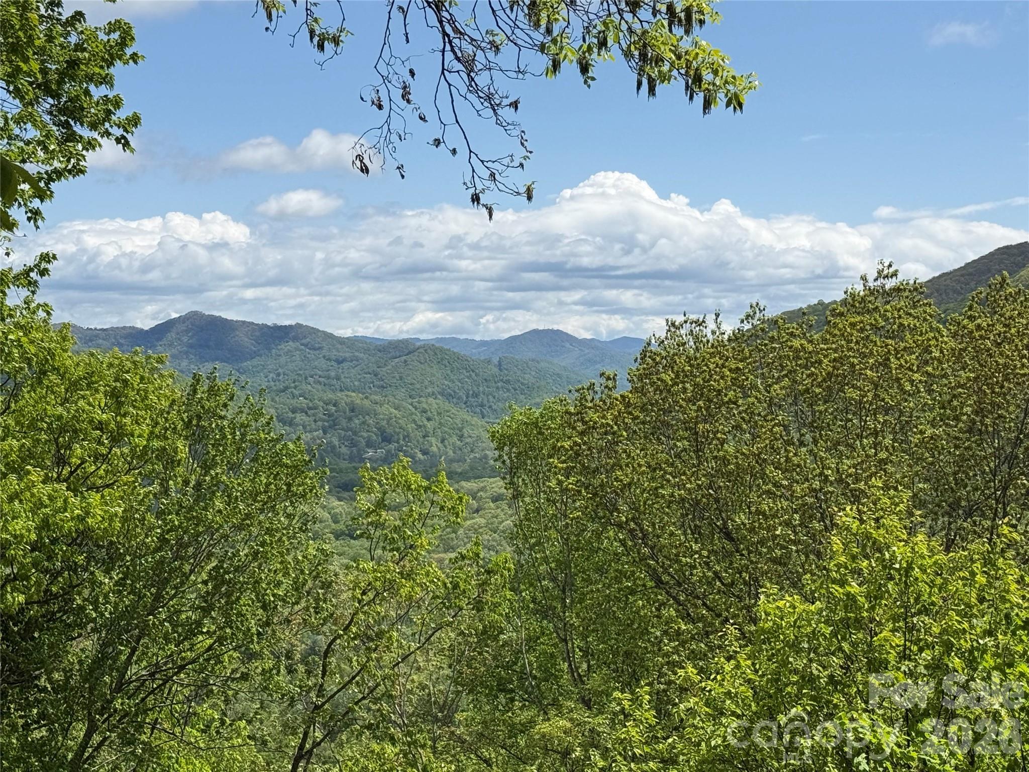 208 Buckeye Road Maggie Valley NC 28751
