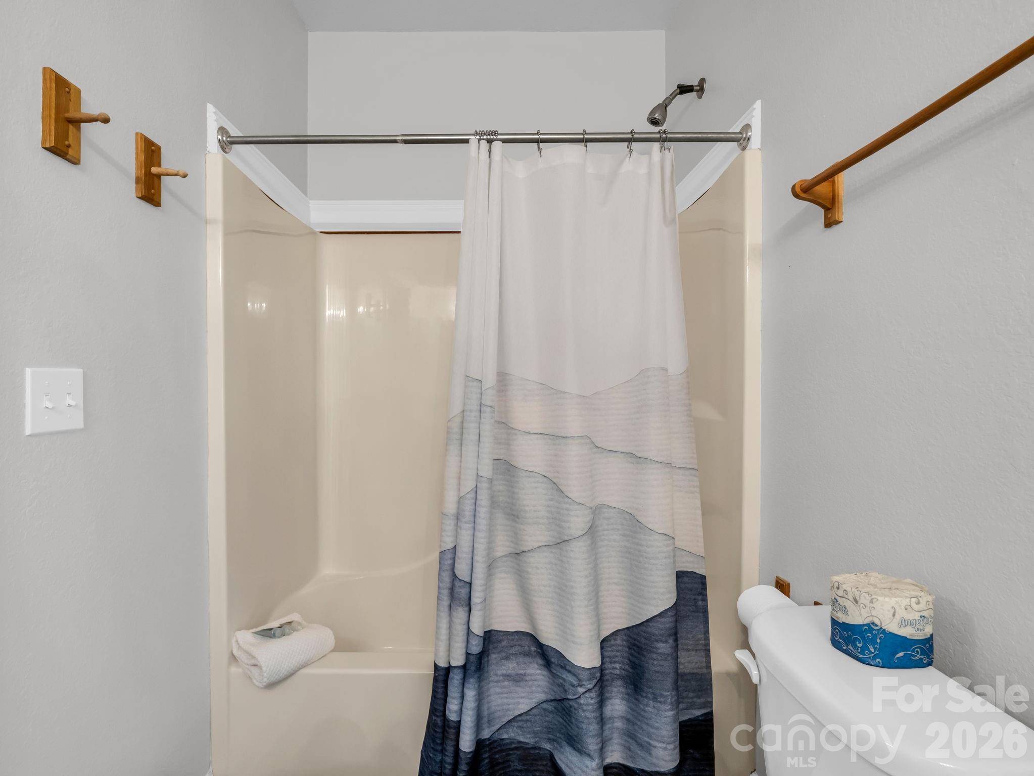 121 Fern Loop Lake Lure NC 28746