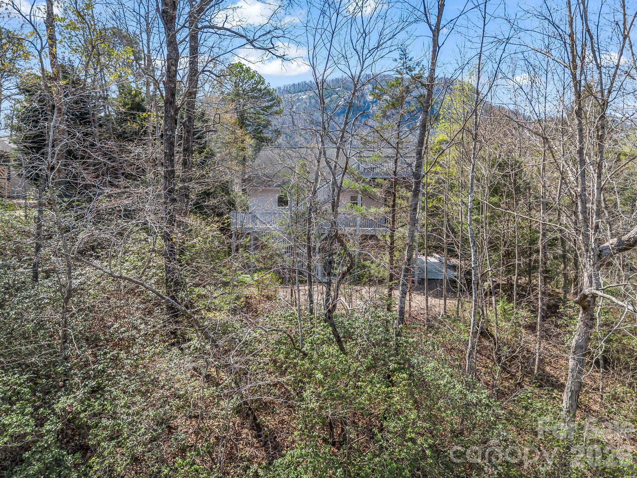 121 Fern Loop Lake Lure NC 28746