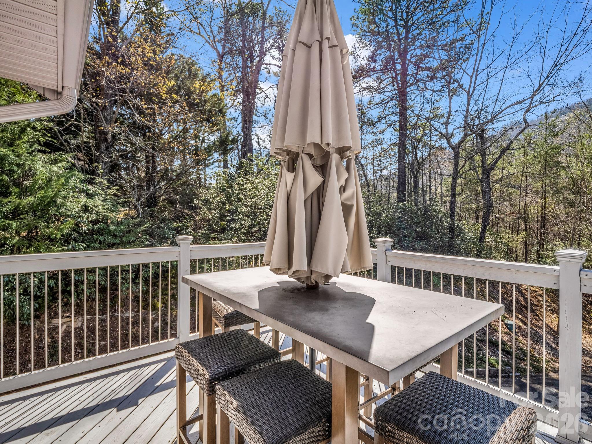 121 Fern Loop Lake Lure NC 28746