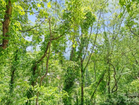 157 Highland Terrace Clyde NC 28721