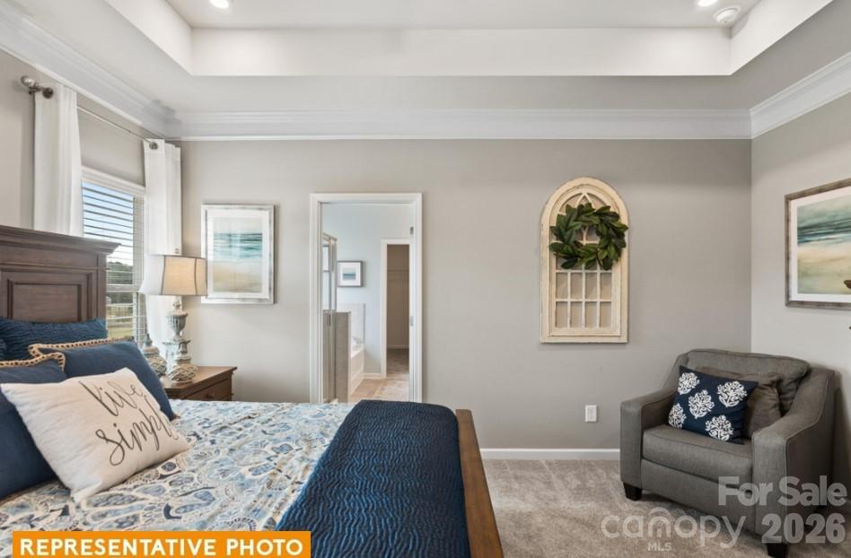4239 Ruth Creek Court Charlotte NC 28216