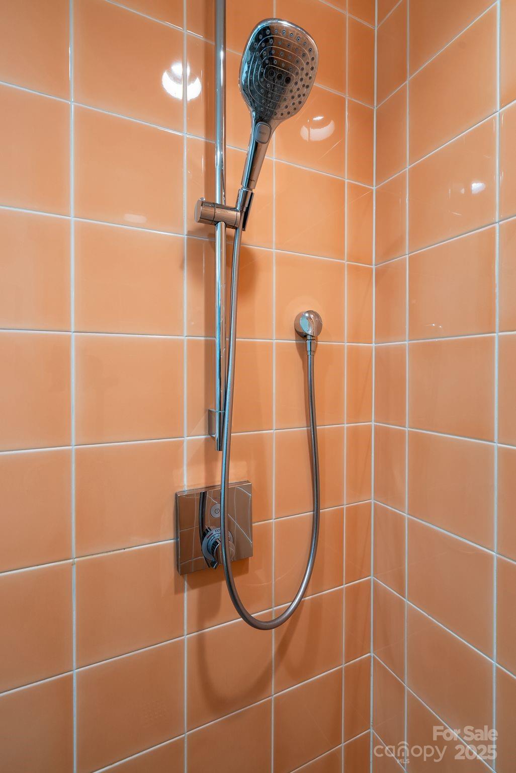 9 Glen Meadows Road Arden NC 28704