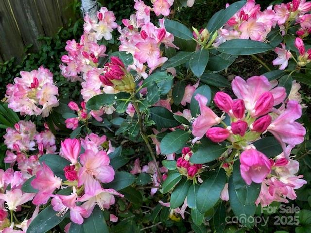 9 Glen Meadows Road Arden NC 28704