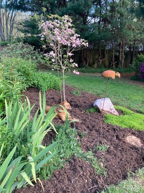 9 Glen Meadows Road Arden NC 28704