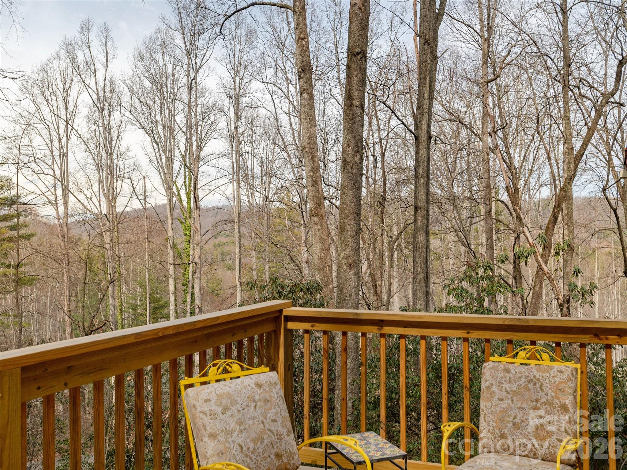 227 Sky Lake Drive Hendersonville NC 28739