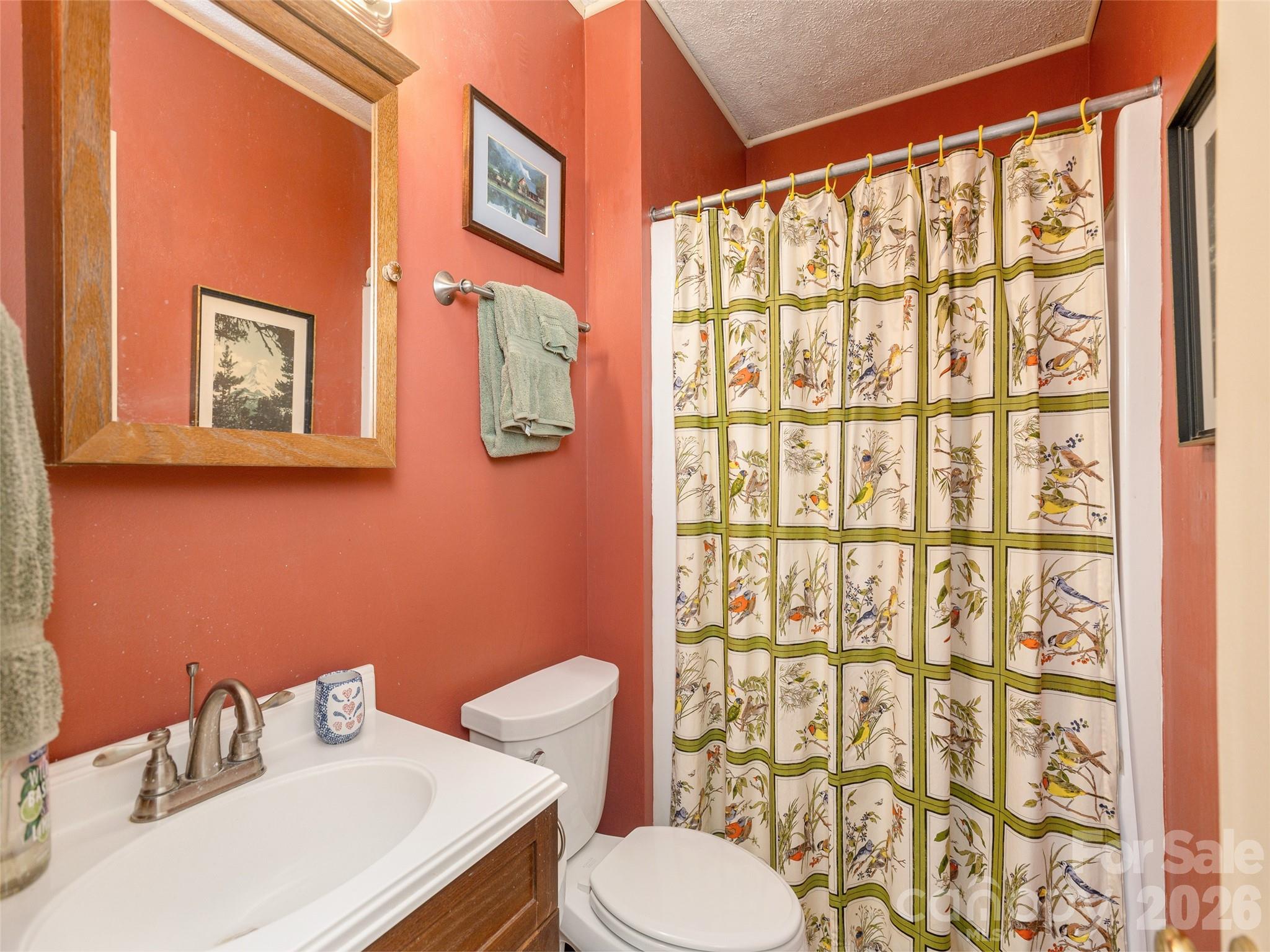 227 Sky Lake Drive Hendersonville NC 28739