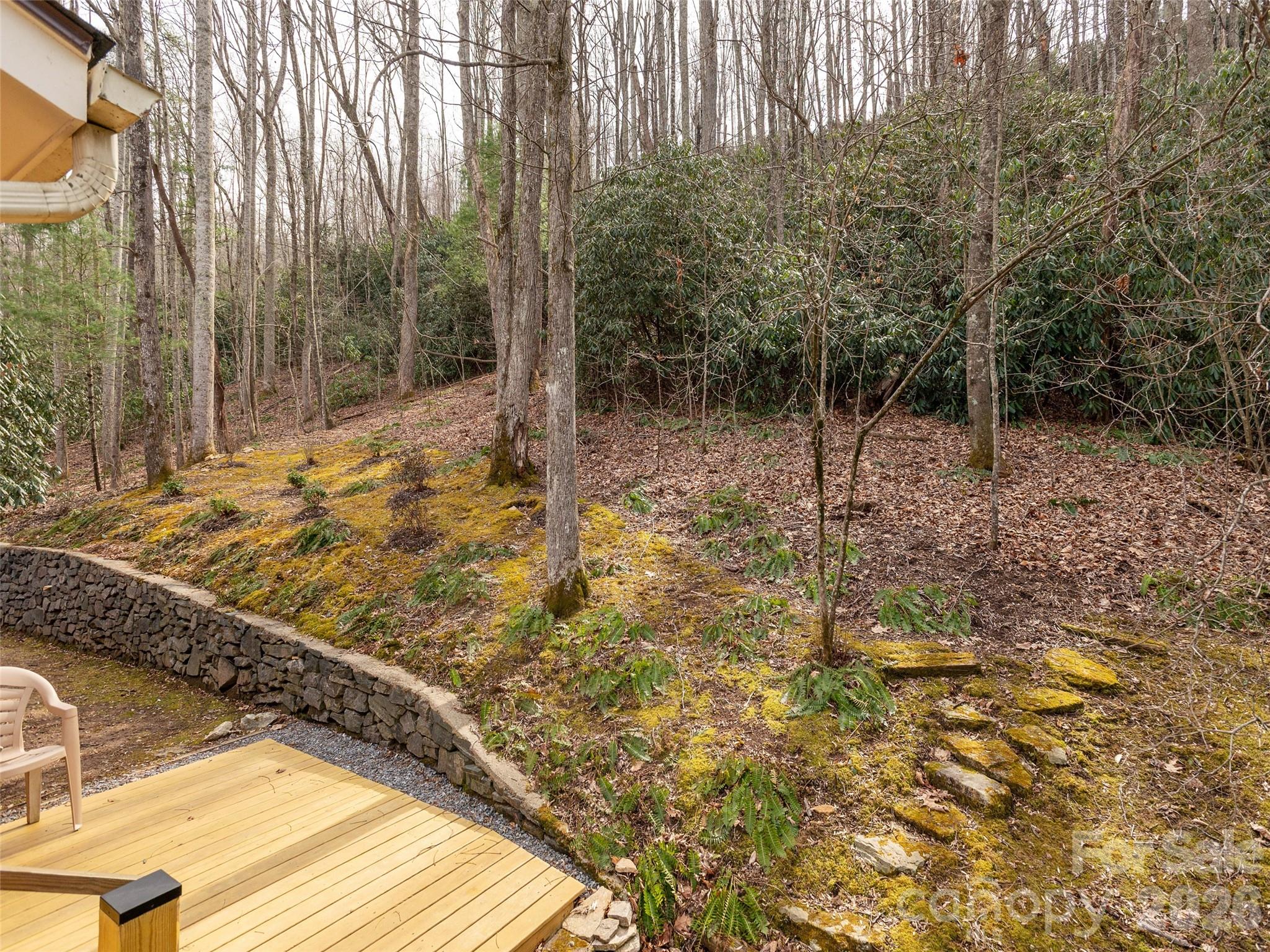 227 Sky Lake Drive Hendersonville NC 28739